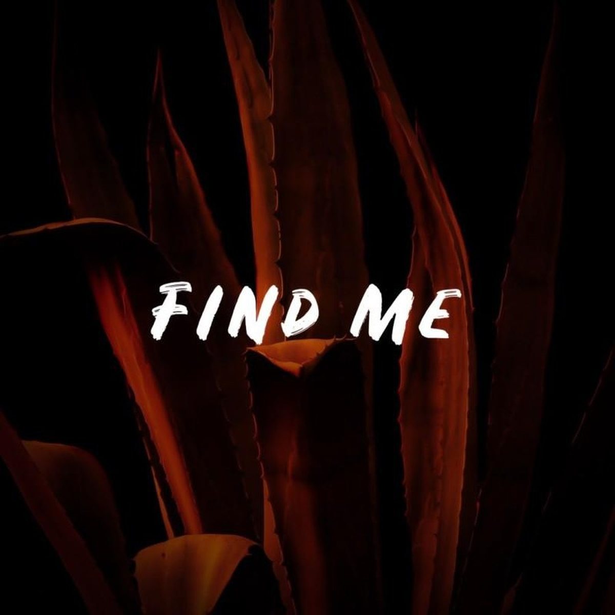 Find Me cover art